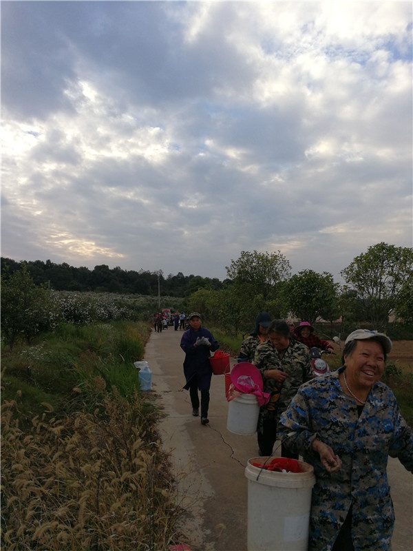 1604485892650688.jpg 微信圖片_20201104182343.jpg
