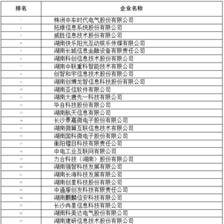 2020年湖南軟件和信息技術(shù)服務(wù)業(yè)企業(yè)50強(qiáng)名單公示 互聯(lián)網(wǎng)信息服務(wù)領(lǐng)跑轉(zhuǎn)型升級